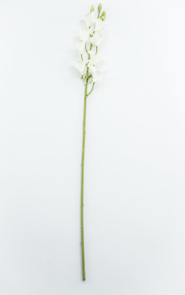 Dendrobium flower stem - white - Greenery MarketArtificial FloraMTF23897 WHT