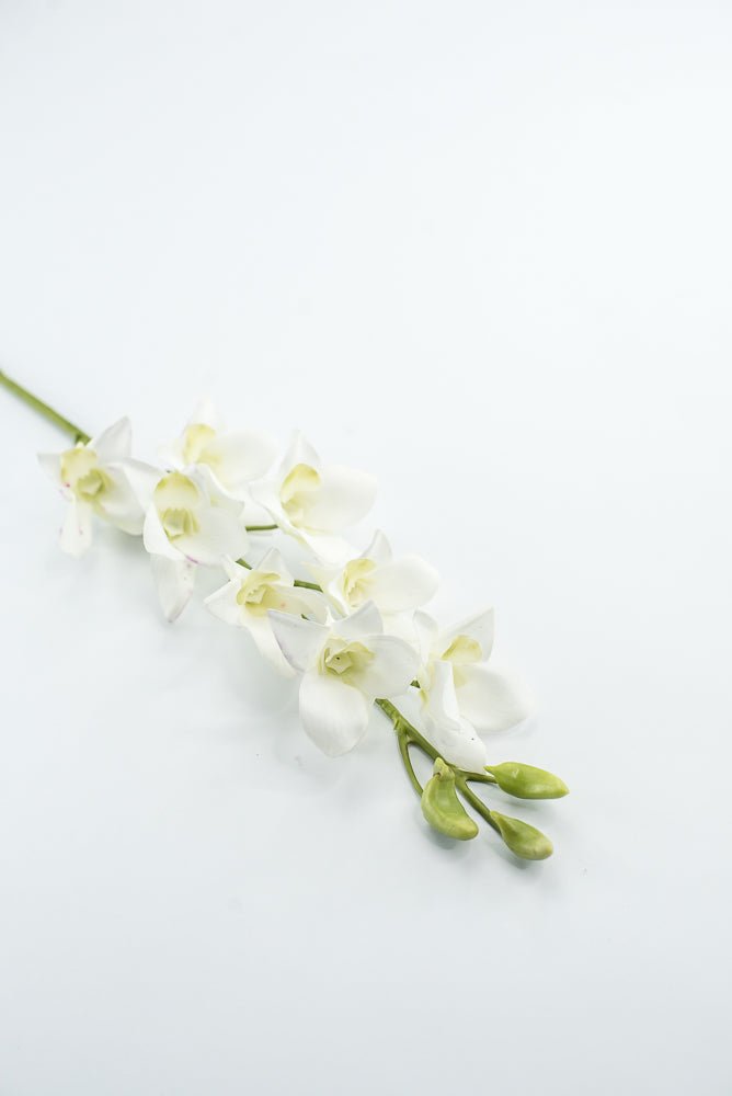 Dendrobium flower stem - white - Greenery MarketArtificial FloraMTF23897 WHT