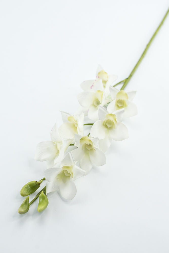 Dendrobium flower stem - white - Greenery MarketArtificial FloraMTF23897 WHT