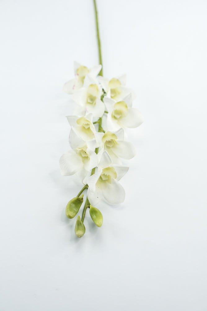 Dendrobium flower stem - white - Greenery MarketArtificial FloraMTF23897 WHT