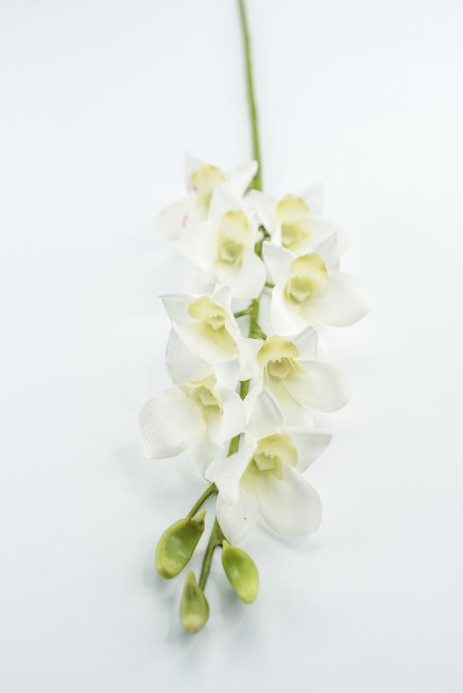 Dendrobium flower stem - white - Greenery MarketArtificial FloraMTF23897 WHT