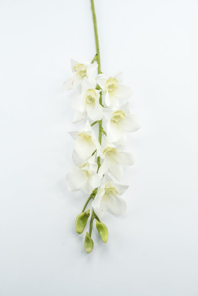 Dendrobium flower stem - white - Greenery MarketArtificial FloraMTF23897 WHT
