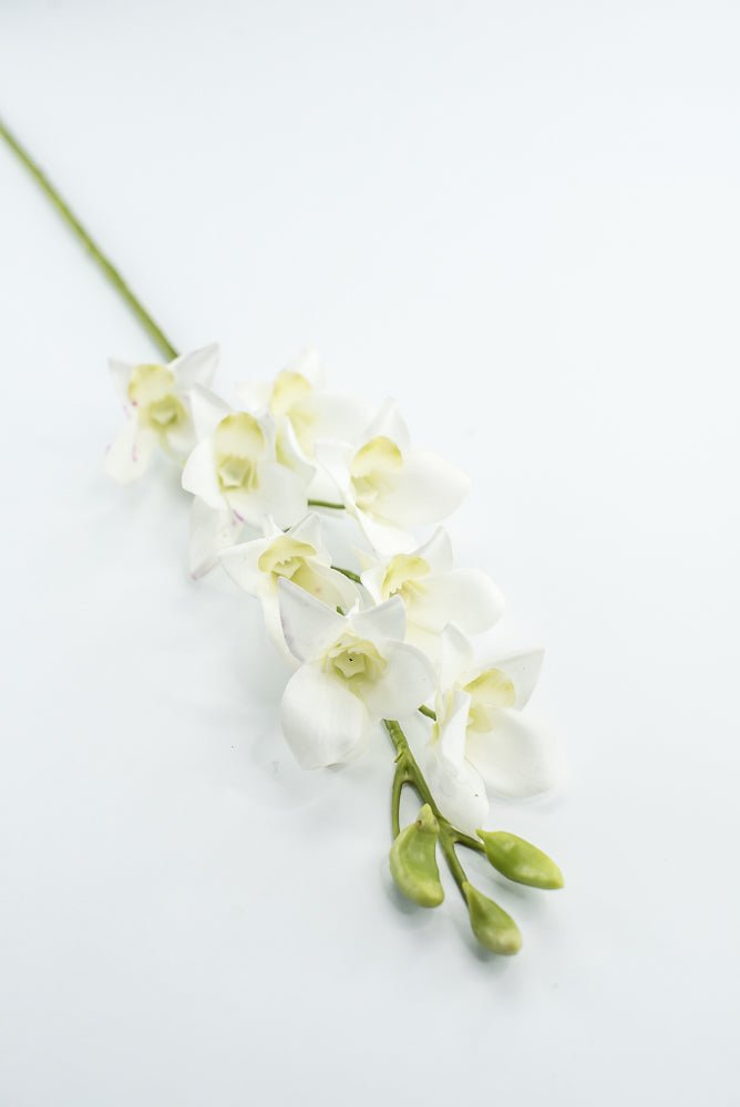 Dendrobium flower stem - white - Greenery MarketArtificial FloraMTF23897 WHT
