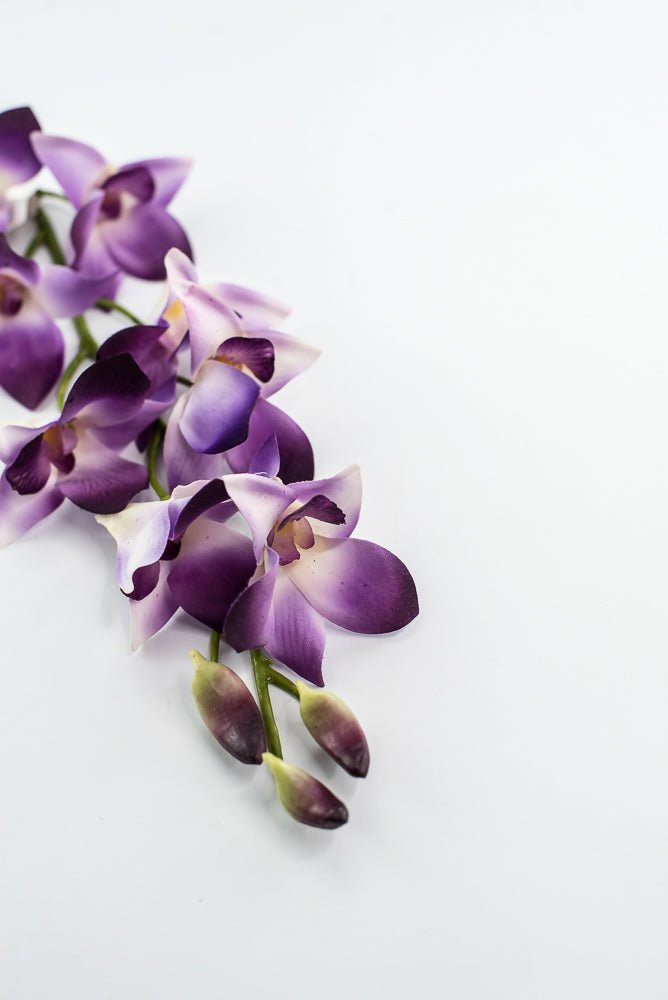 Dendrobium orchid Flower spray - purple - Greenery MarketArtificial Flora2230092PP