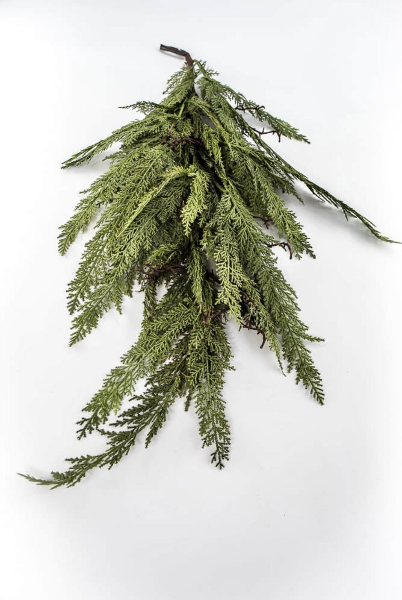 Dragon vine juniper 38” - Greenery Market