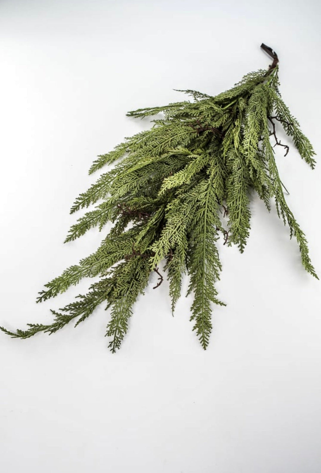 Dragon vine juniper 38” - Greenery Market27806