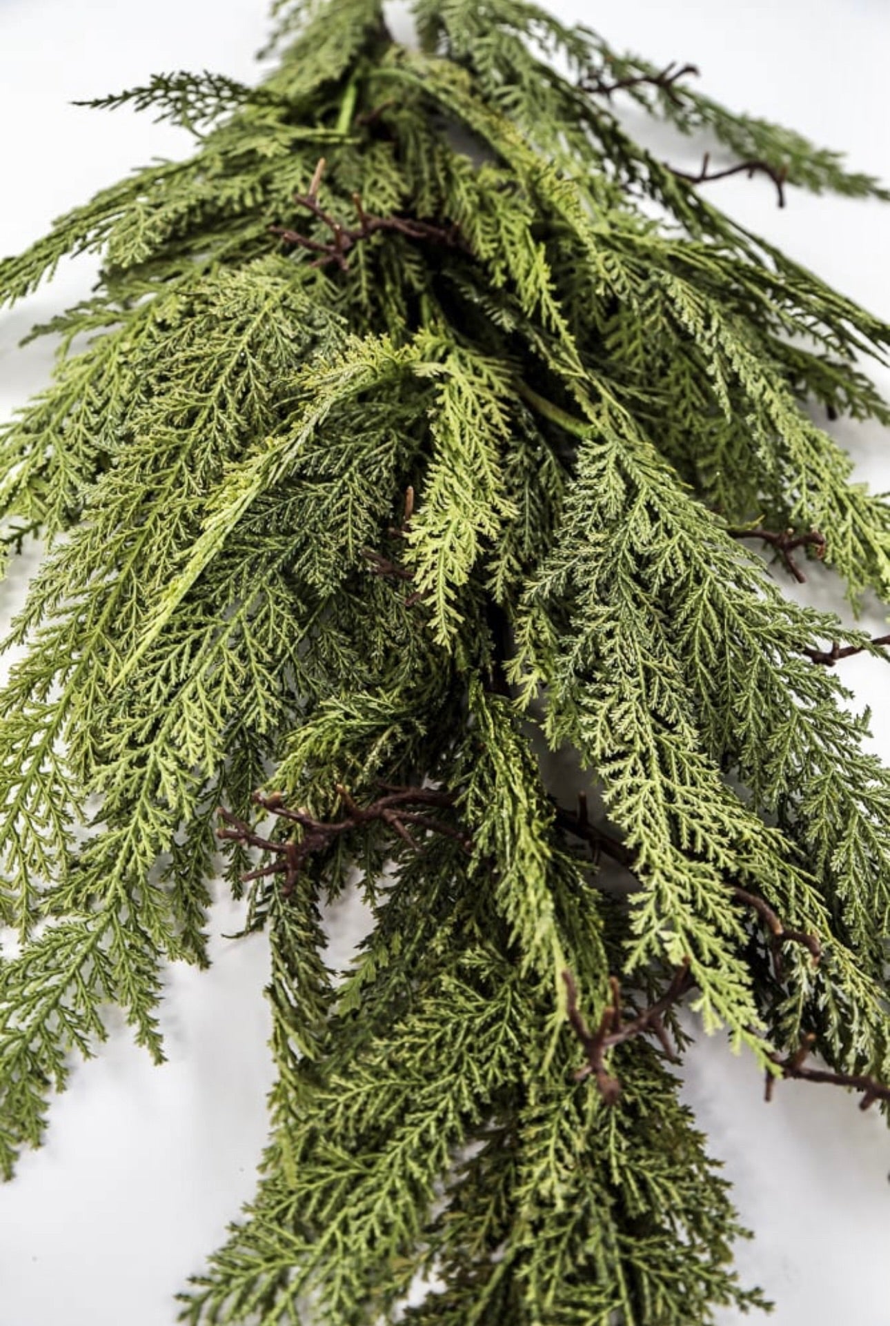 Dragon vine juniper 38” - Greenery Market