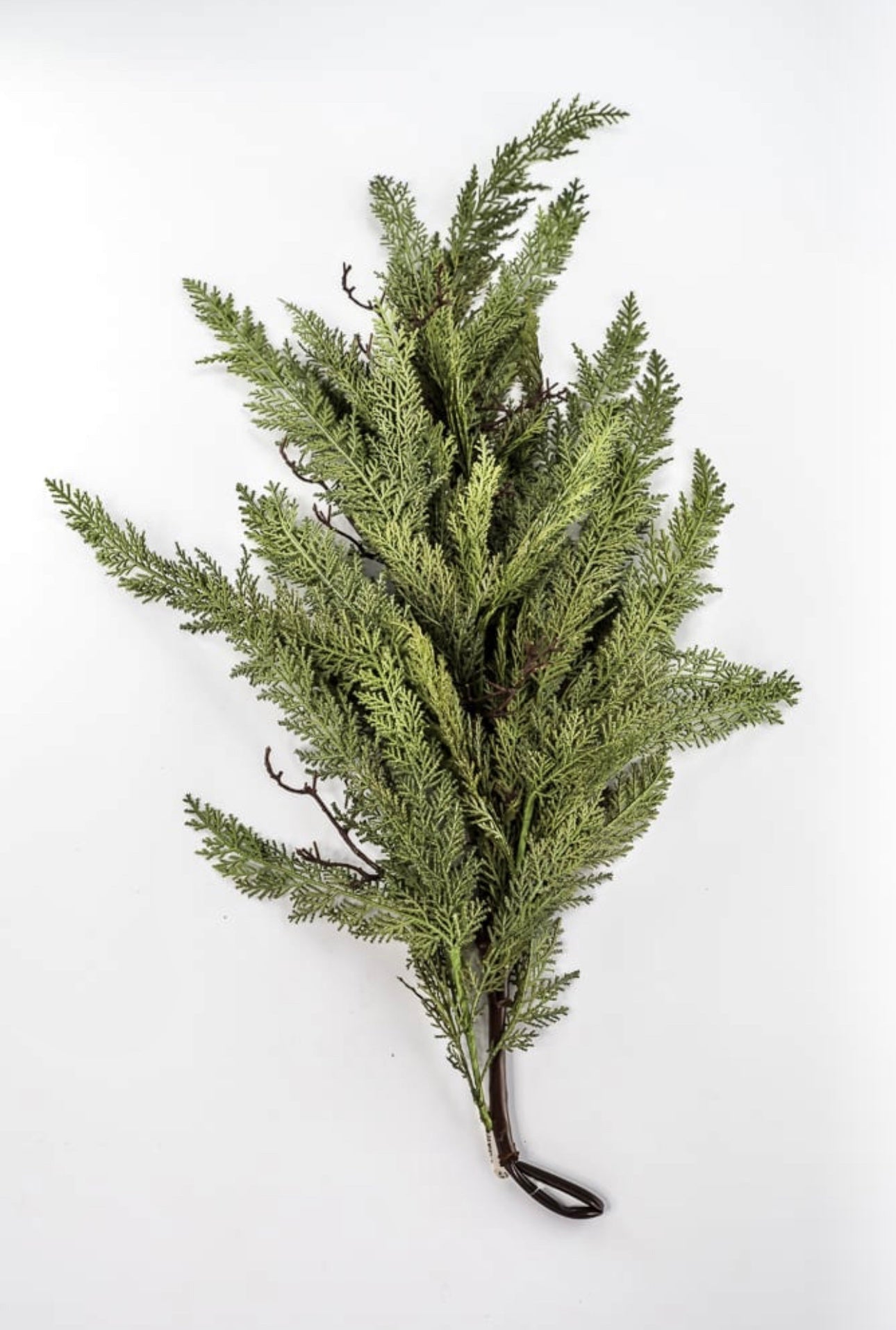 Dragon vine juniper 38” - Greenery Market