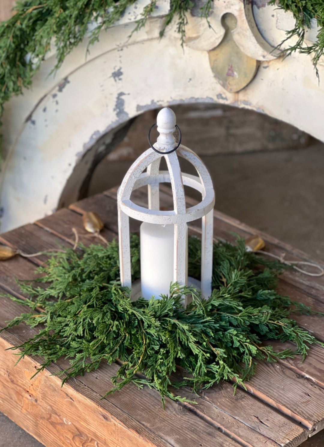 Draping Cedar 14” mini wreath, candle ring wreath - Greenery Marketwreath base & containersXVP9767