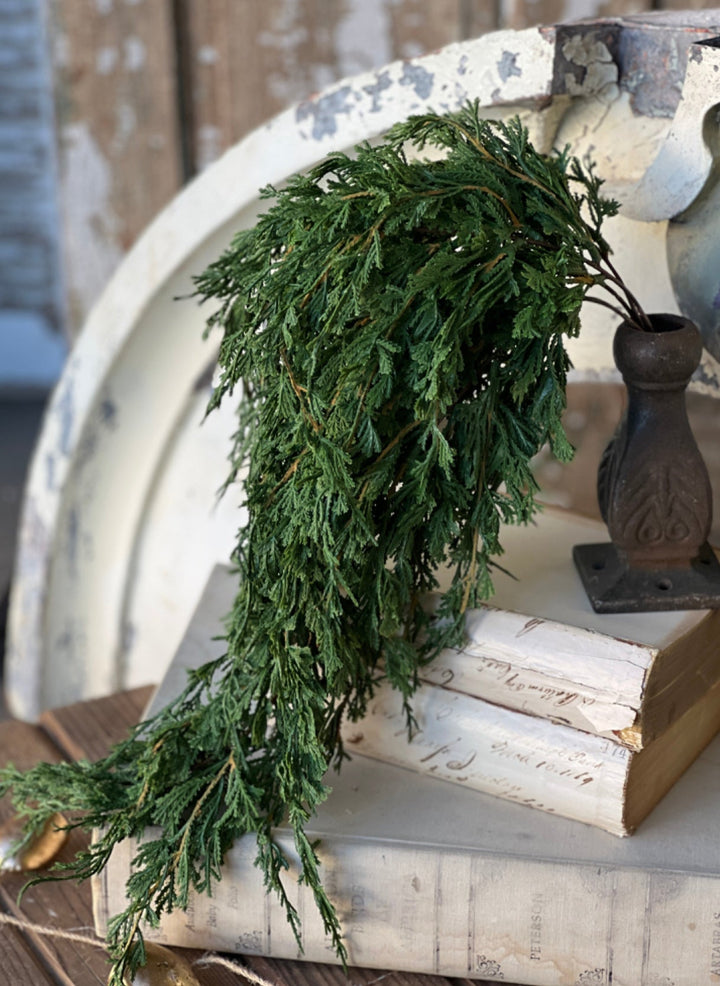 Draping cedar bush - Greenery MarketXVP9769