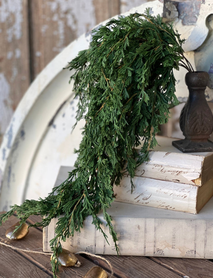 Draping cedar bush - Greenery MarketXVP9769