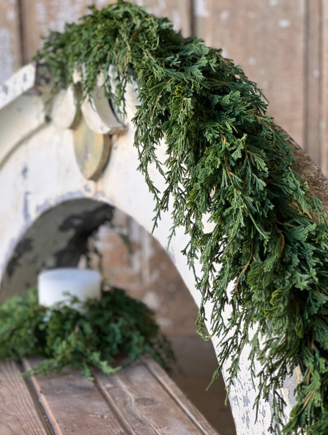 Draping cedar garland - Greenery MarketXVP9770