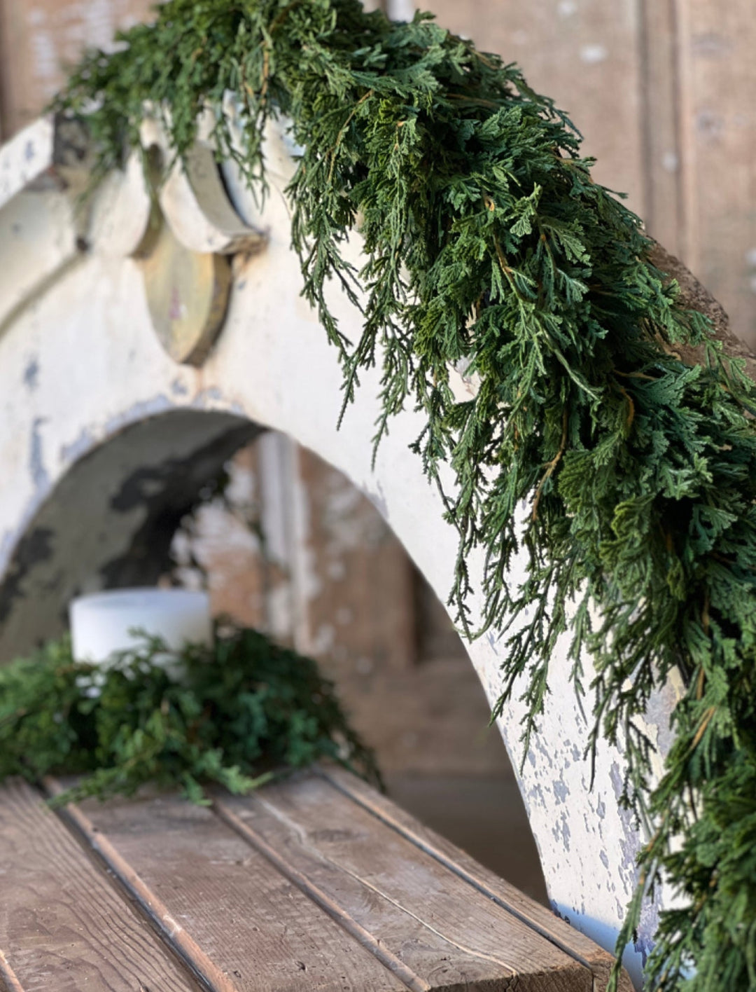 Draping cedar garland - Greenery MarketXVP9770