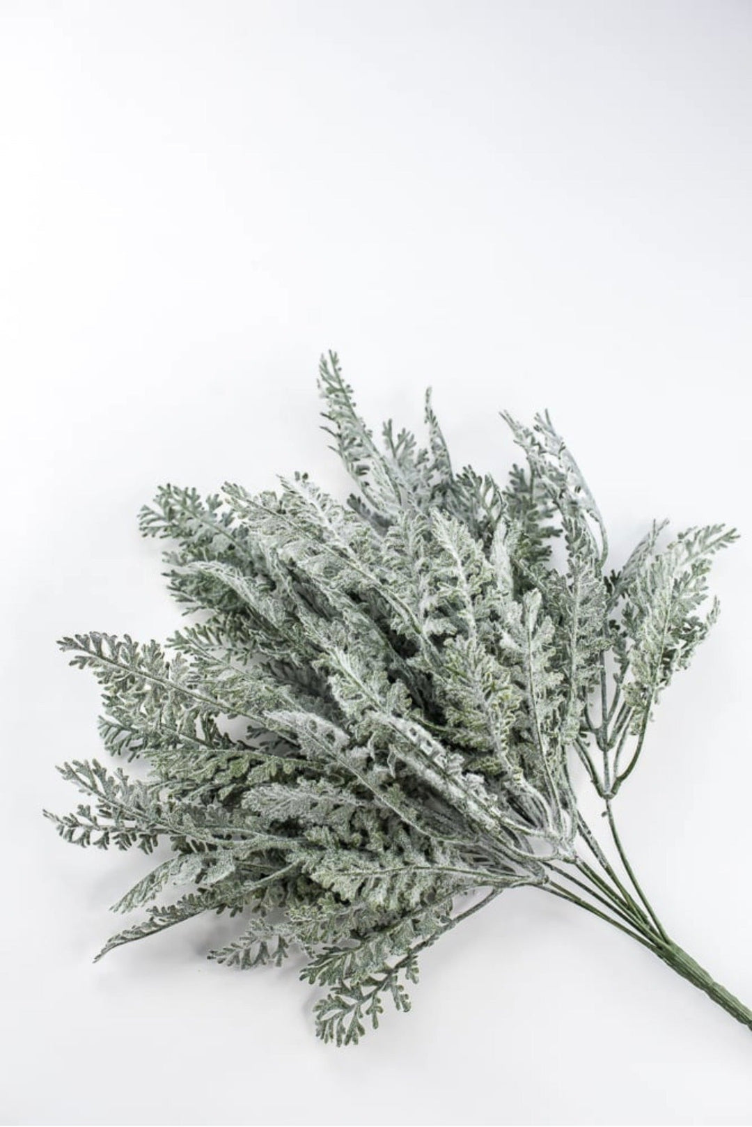 Dusty Miller Bush - 20" - Greenery MarketArtificial Flowers85577