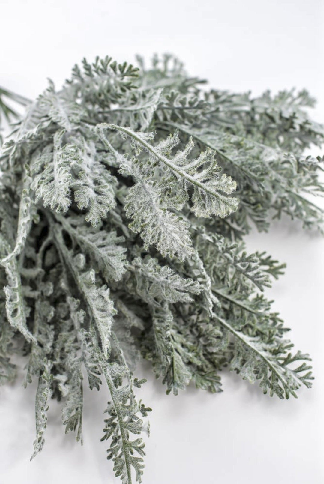 Dusty Miller Bush - 20" - Greenery MarketArtificial Flowers85577