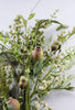 Dusty Miller mixed greenery with pods - Greenery Marketgreenery62281sp28