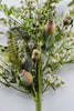Dusty Miller mixed greenery with pods - Greenery Marketgreenery62281sp28