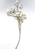 Dwarf Magnolia flower branch - 43” - Greenery Market3045-c