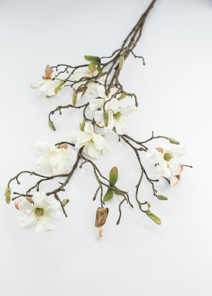 Dwarf Magnolia flower branch - 43” - Greenery Market3045-c