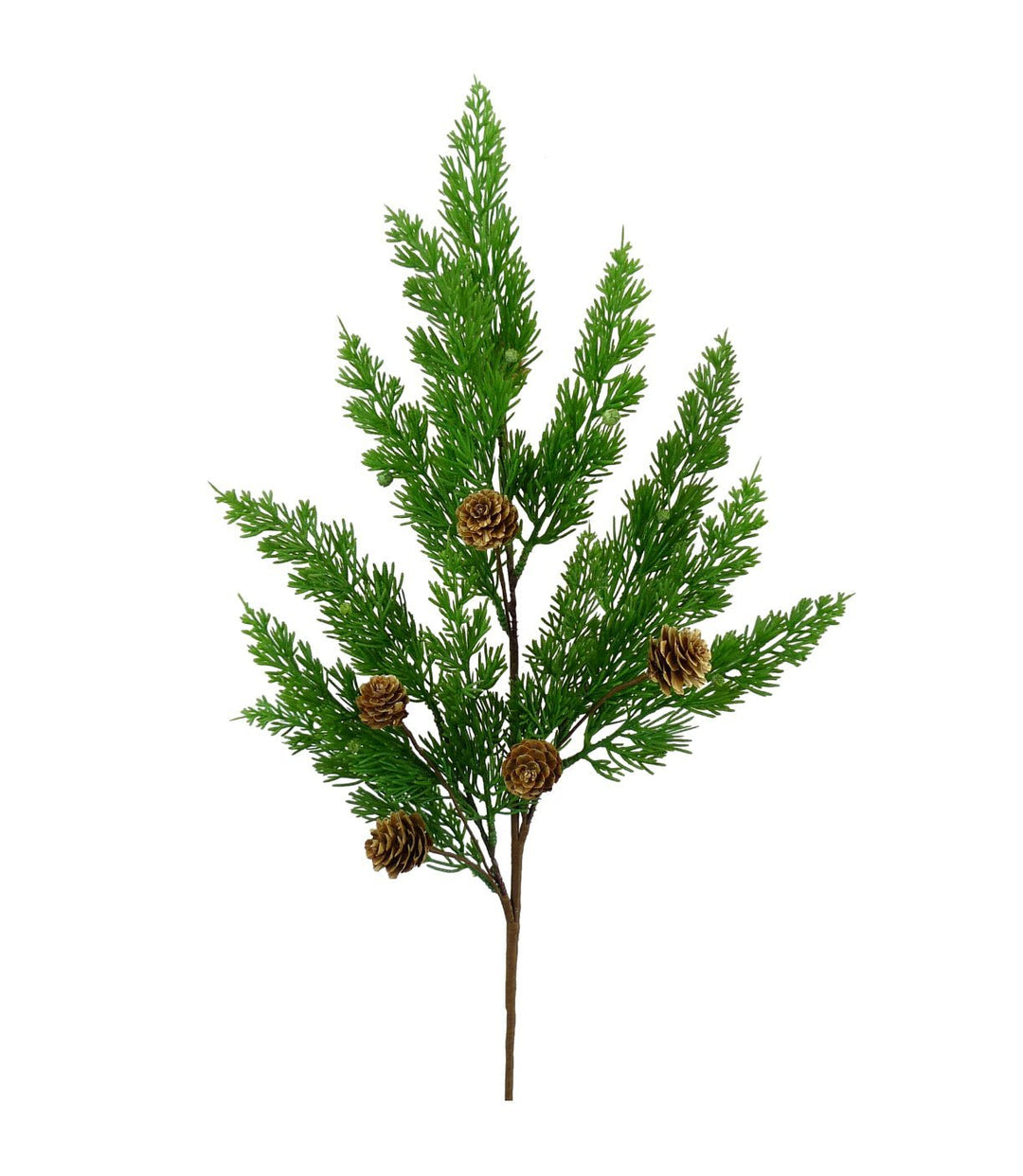 Eastern Cedar pine and cone spray - Greenery Marketgreenery84823SP28