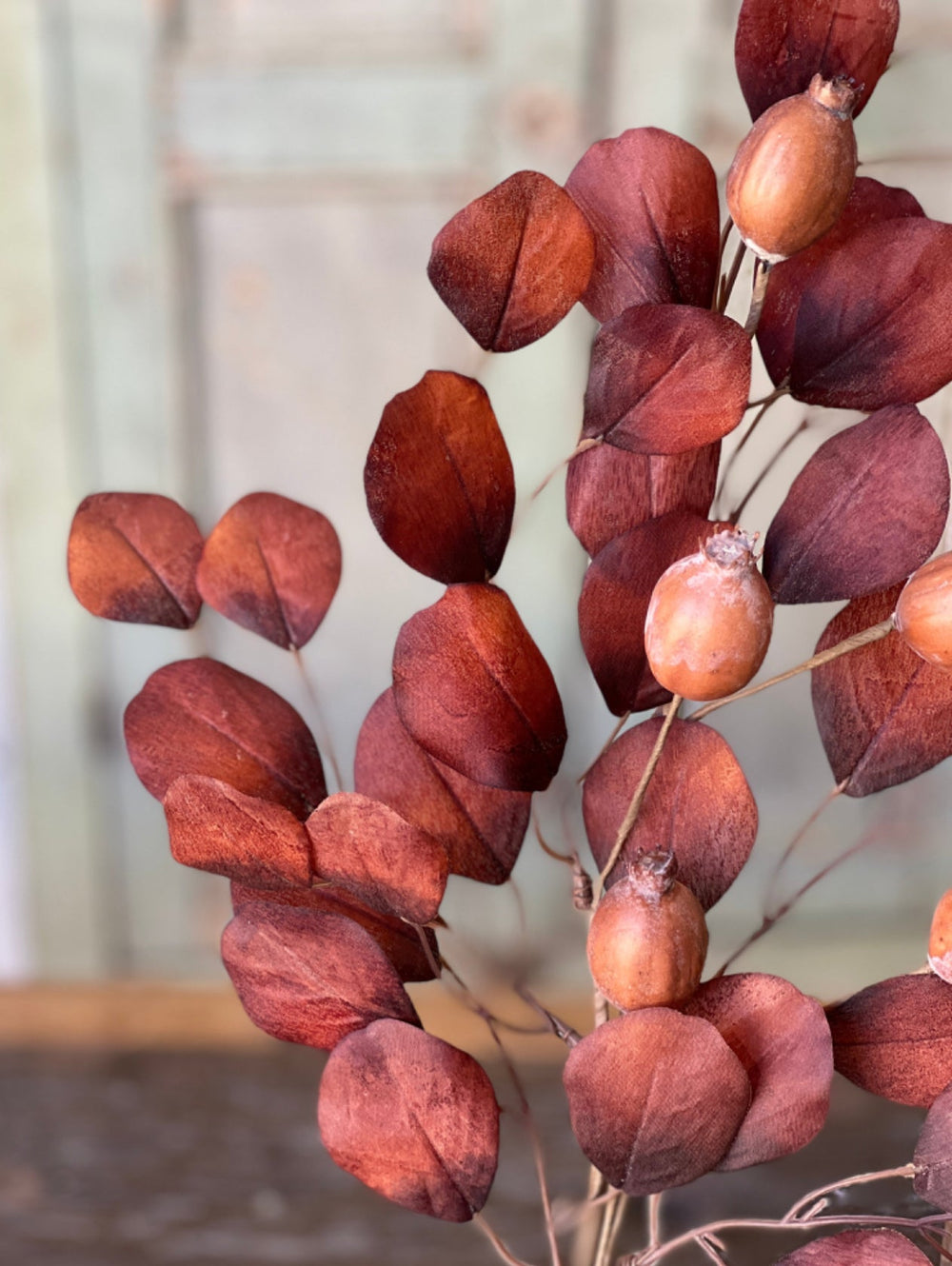 Eucalyptus and pod spray - Greenery MarketBR73906