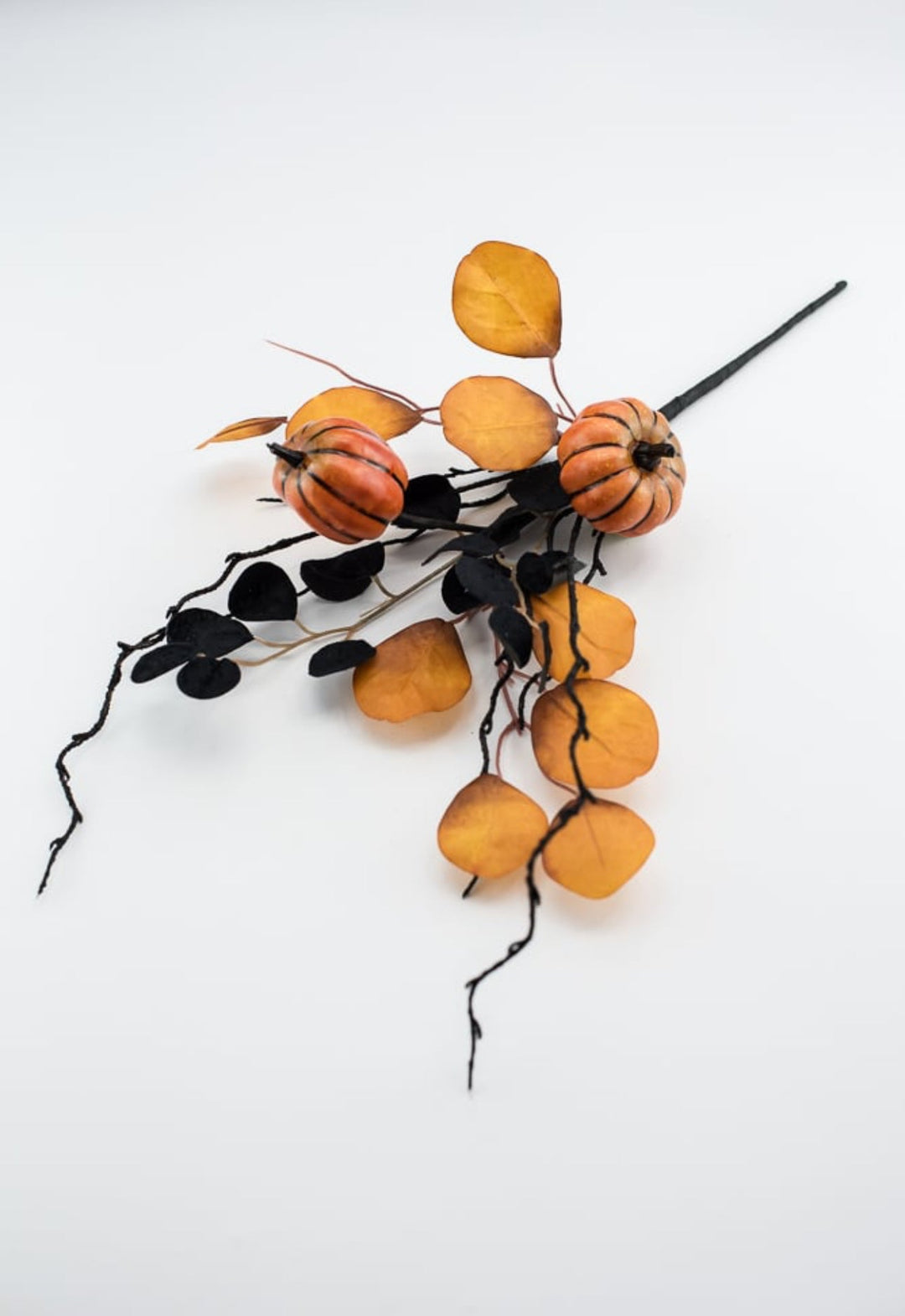 Eucalyptus and pumpkin pick - black orange - Greenery MarketArtificial Flora57087BKOR