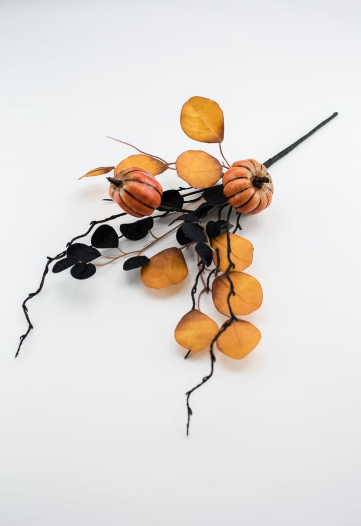 Eucalyptus and pumpkin pick - black orange - Greenery MarketArtificial Flora57087BKOR