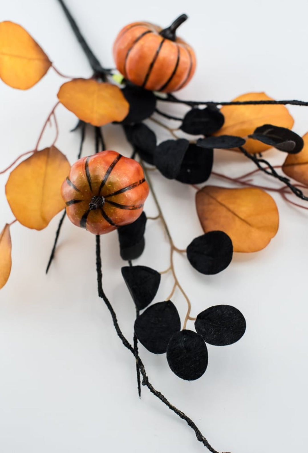 Eucalyptus and pumpkin pick - black orange - Greenery MarketArtificial Flora57087BKOR