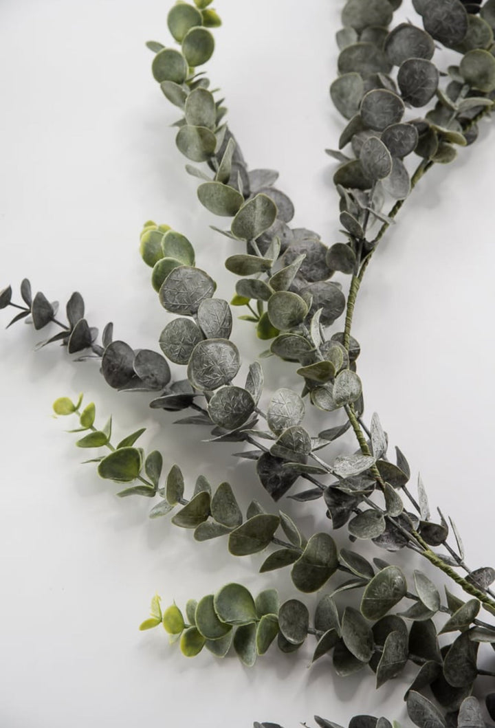 Eucalyptus garland 6ft - Greenery Market25490