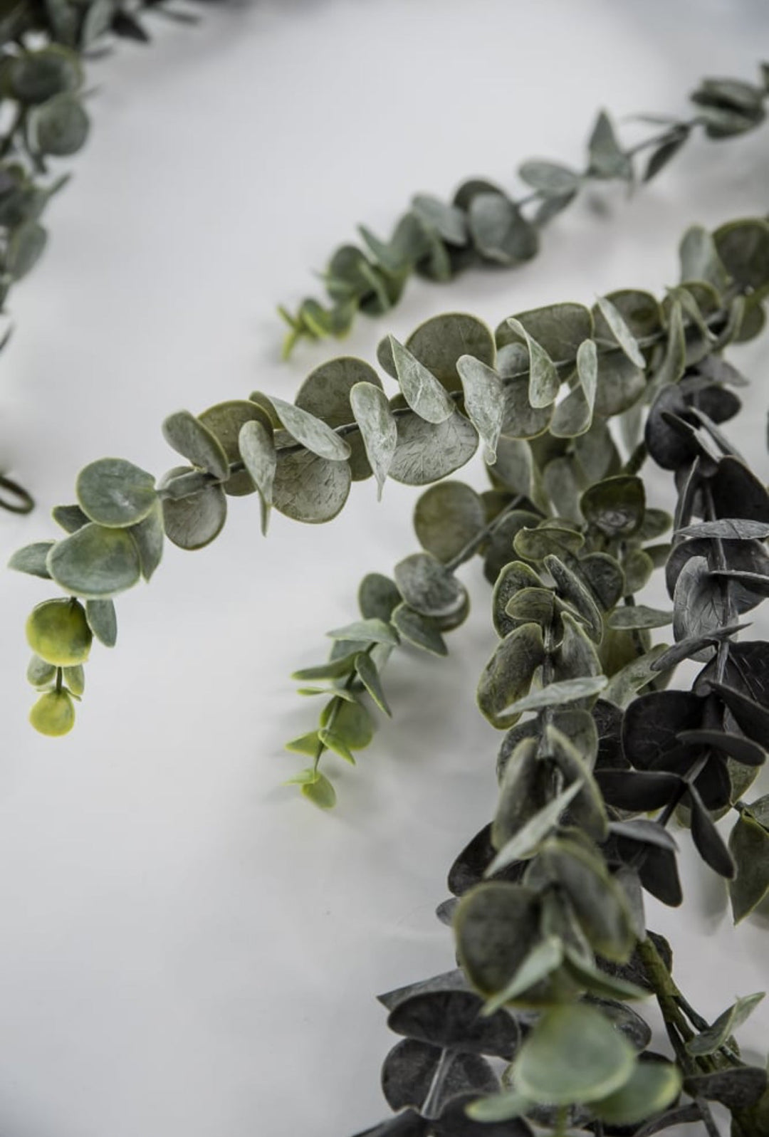 Eucalyptus garland 6ft - Greenery Market25490