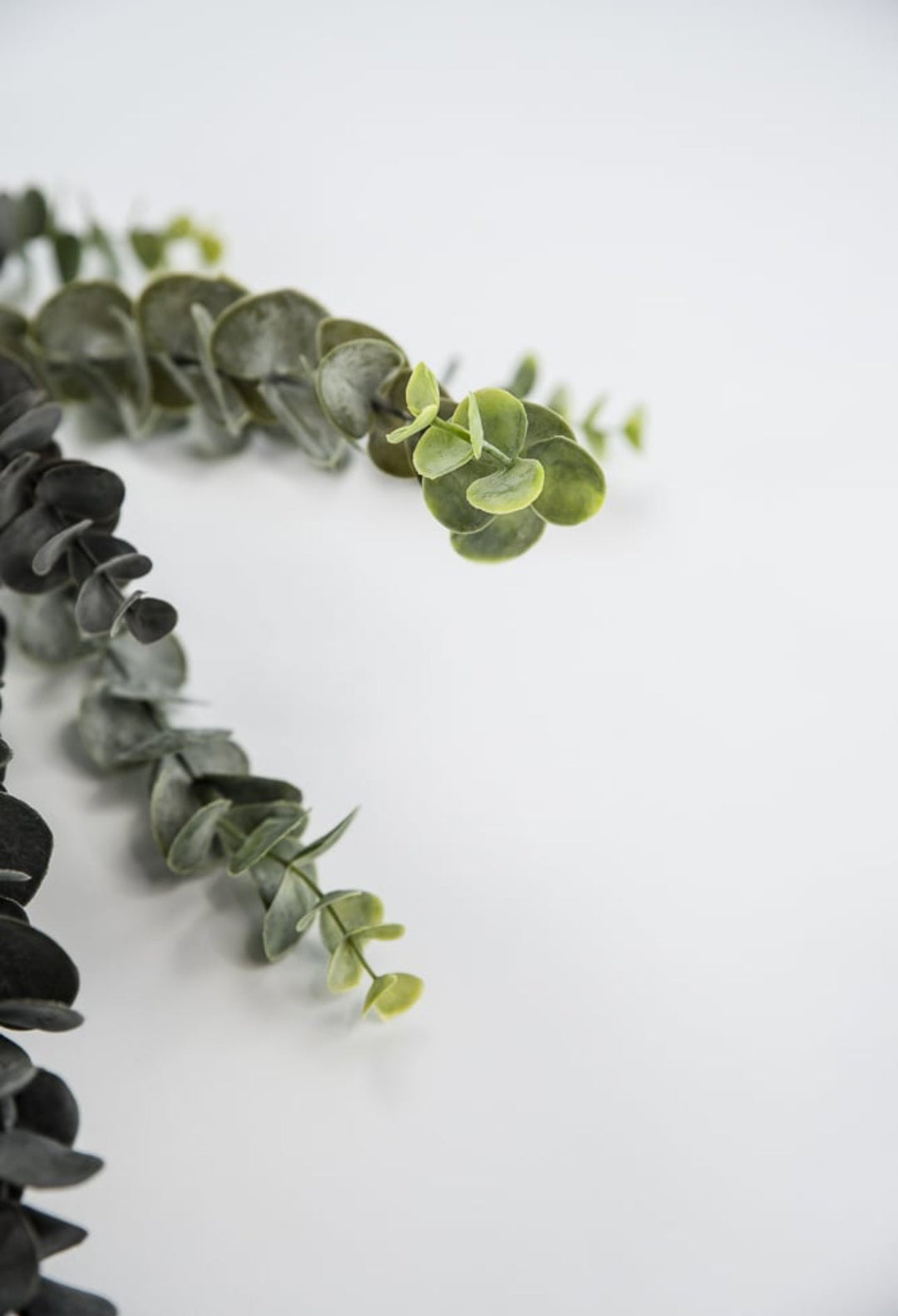 Eucalyptus garland 6ft - Greenery Market25490