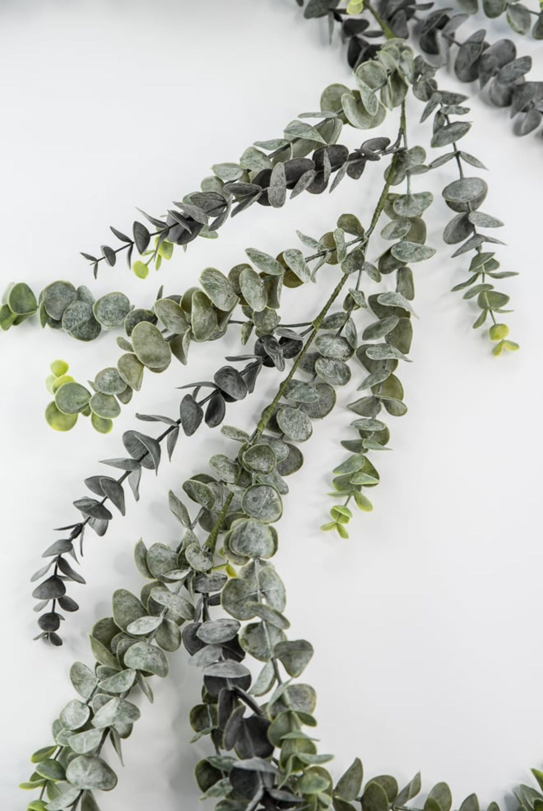 Eucalyptus garland 6ft - Greenery Market25490