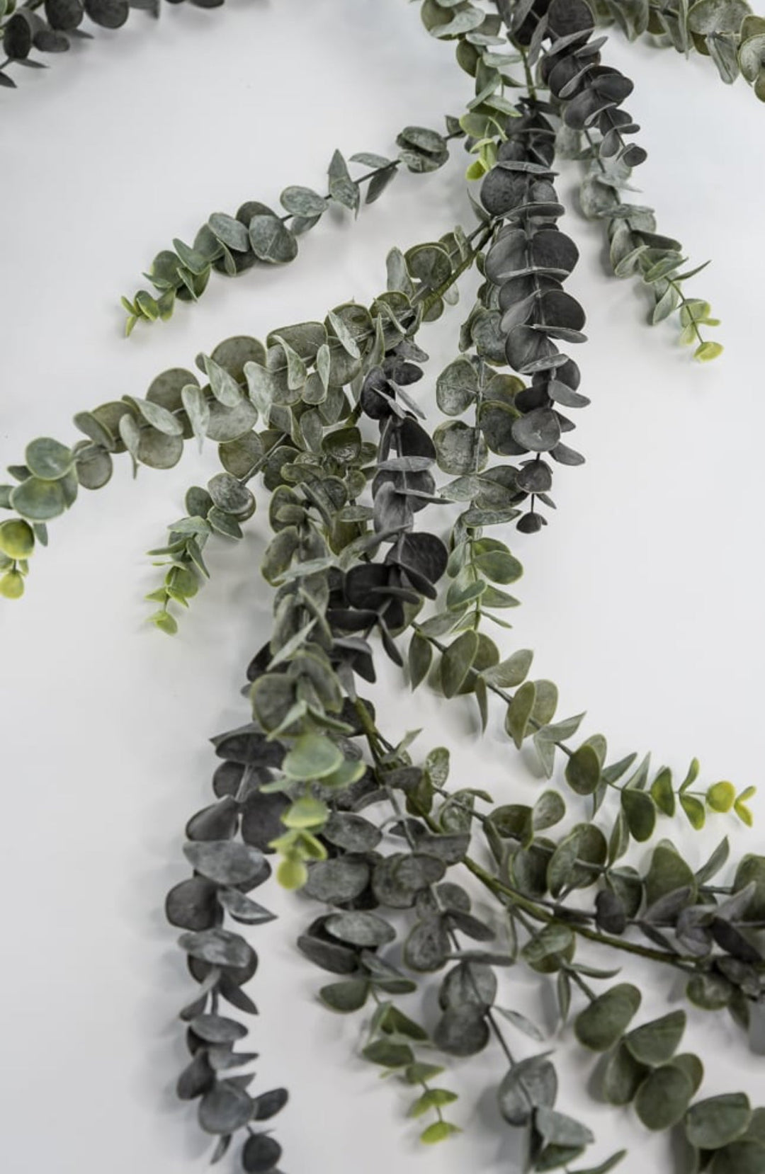 Eucalyptus garland 6ft - Greenery Market25490