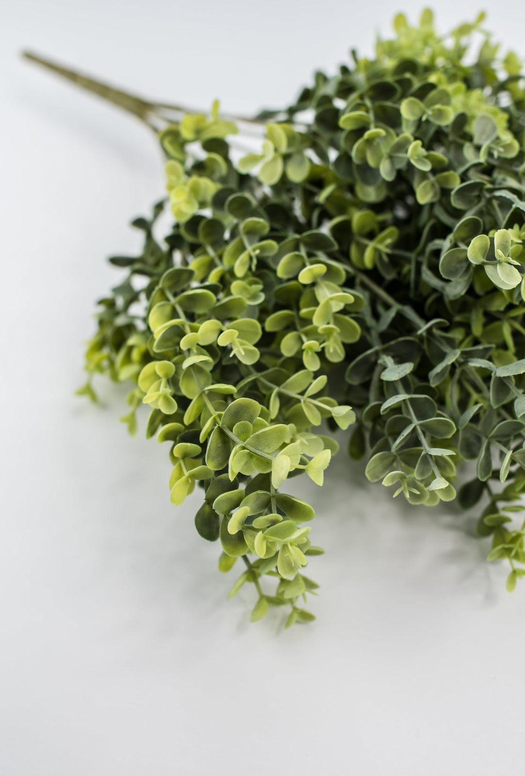 Eucalyptus Greenery bush - Green - Greenery Marketgreenery80258 - GN