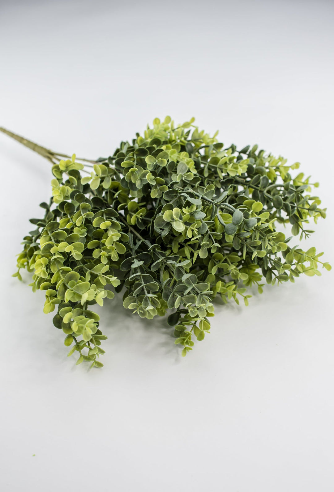 Eucalyptus Greenery bush - Green - Greenery Marketgreenery80258 - GN