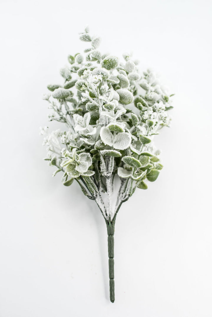 Eucalyptus Snow Bush - Greenery Market85285