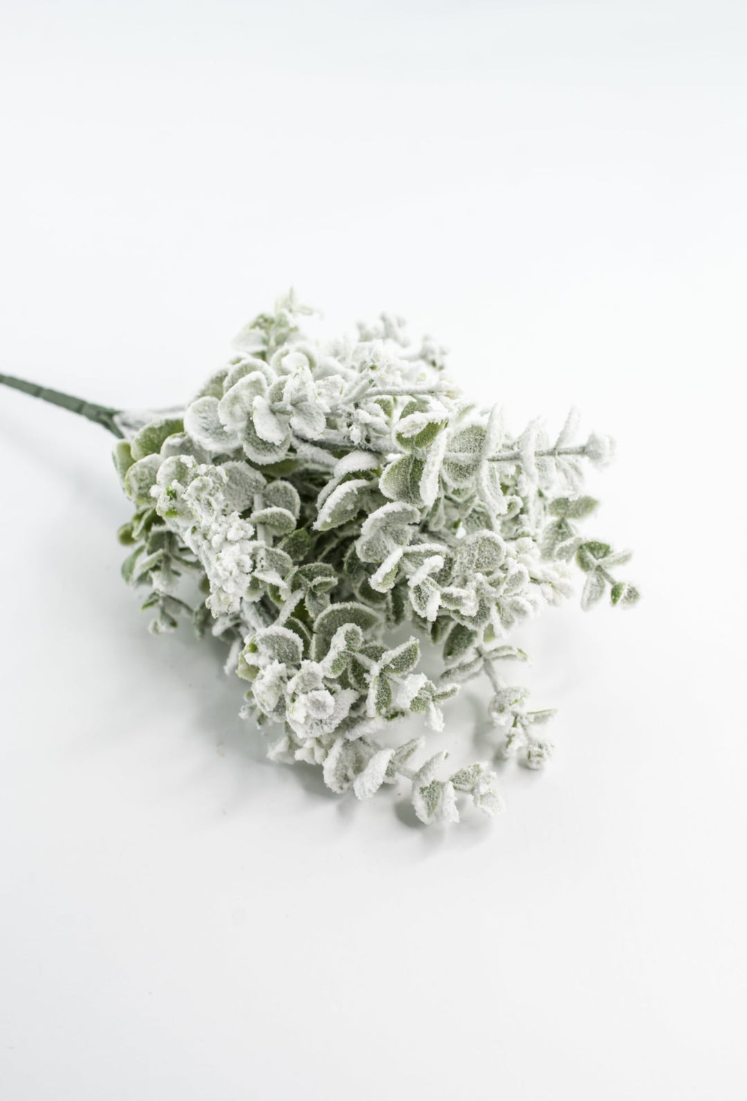 Eucalyptus Snow Bush - Greenery Market85285