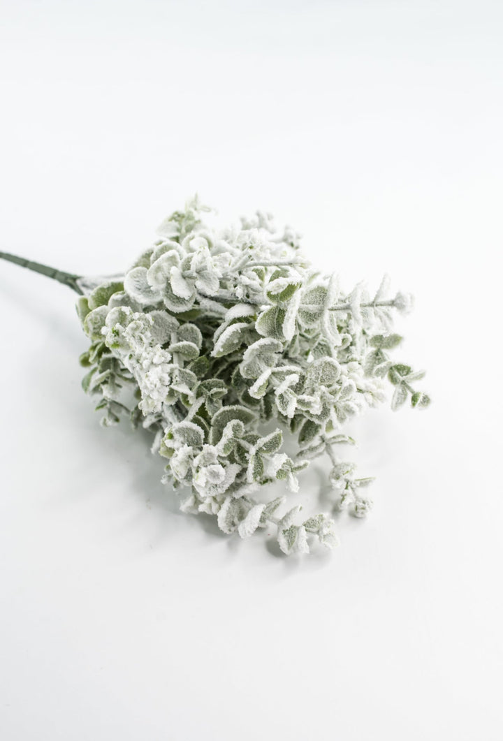Eucalyptus Snow Bush - Greenery Market85285