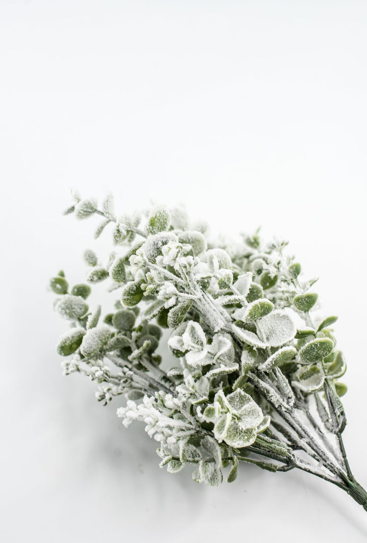 Eucalyptus Snow Bush - Greenery Market85285