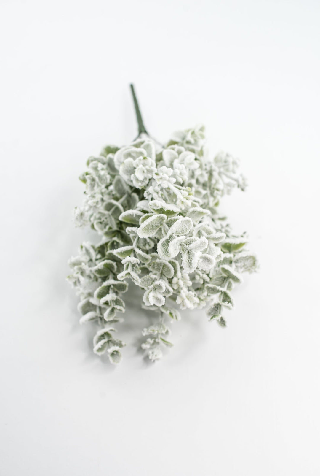Eucalyptus Snow Bush - Greenery Market85285