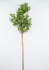 Eucalyptus spray greenery - Greenery MarketArtificial Flora13451SP28