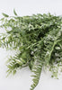 Everyone’s favorite Mixed greenery bush, white tips - Greenery Marketgreenerygm1115