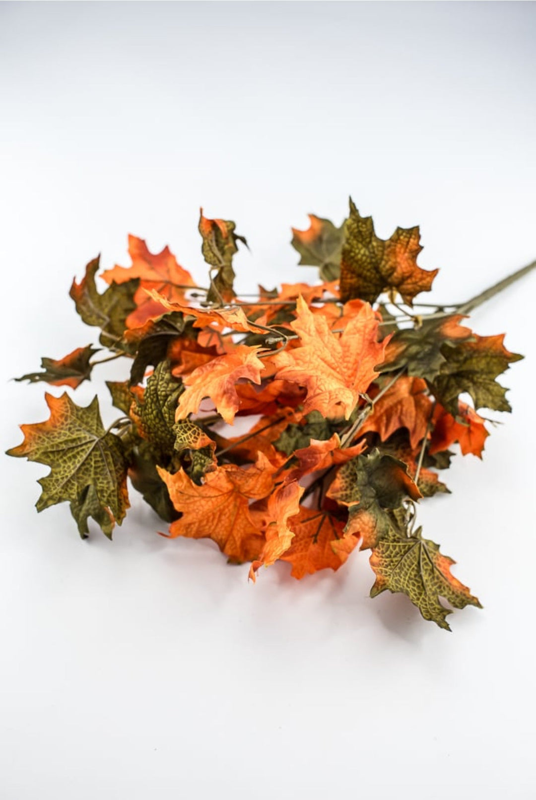 Fall maples leaves bush - Greenery Marketgreenery73201