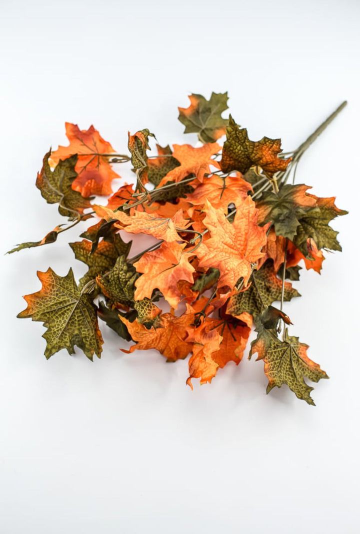 Fall maples leaves bush - Greenery Marketgreenery73201