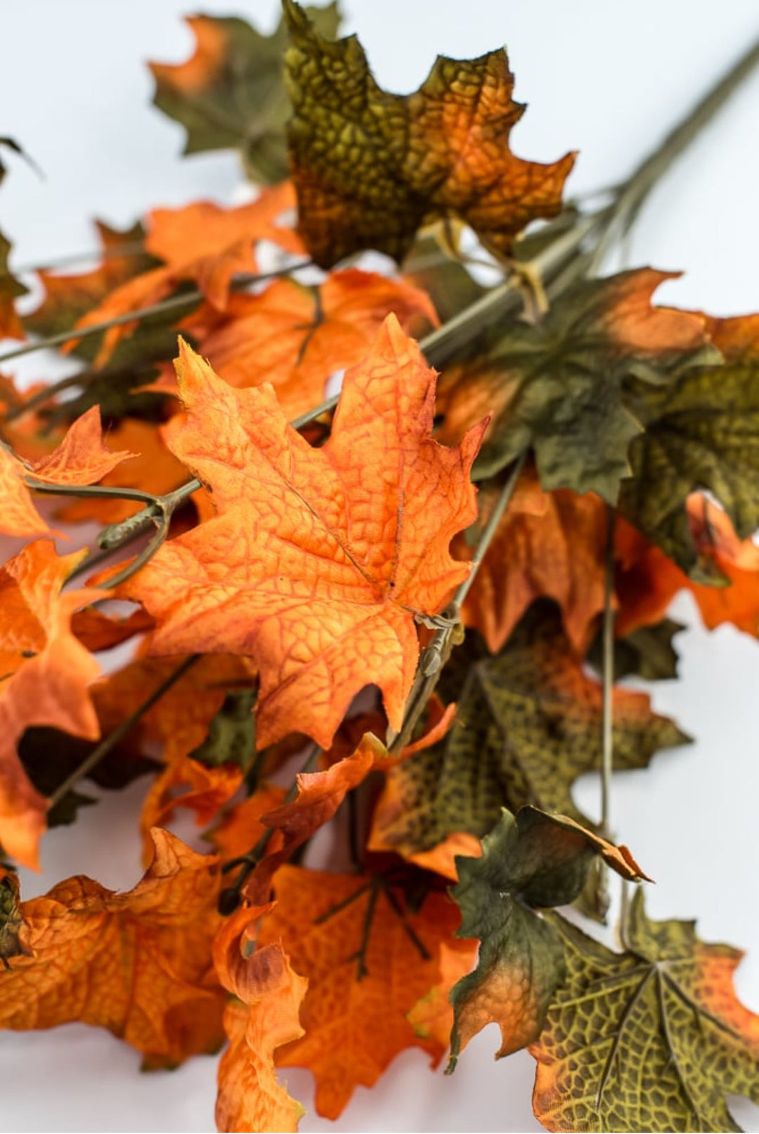 Fall maples leaves bush - Greenery Marketgreenery73201