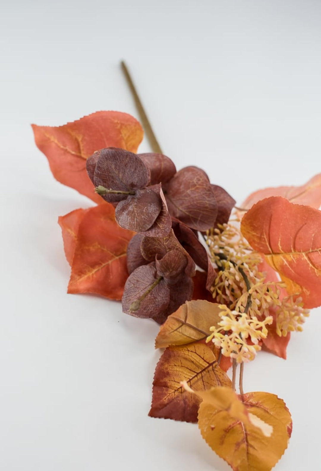 Fall mixed leaves poplar pick - Greenery Market83783