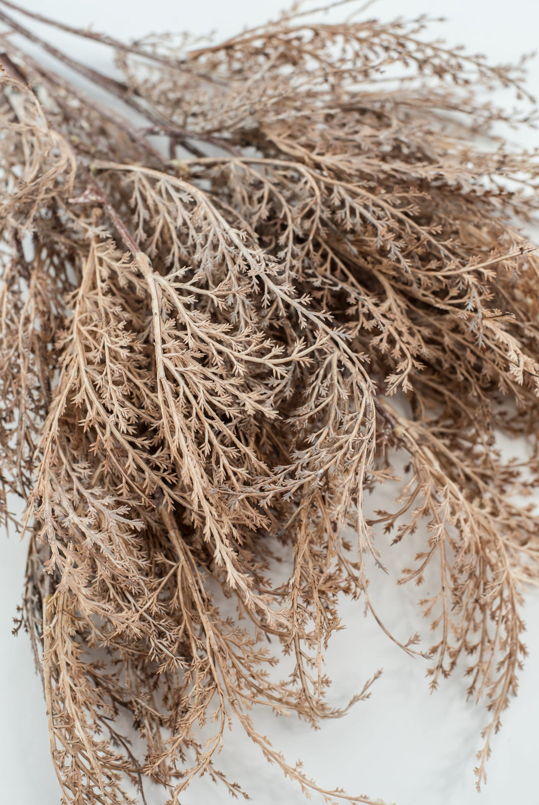 Faux dried fern grass bundle - brown - Greenery MarketArtificial Flora26299