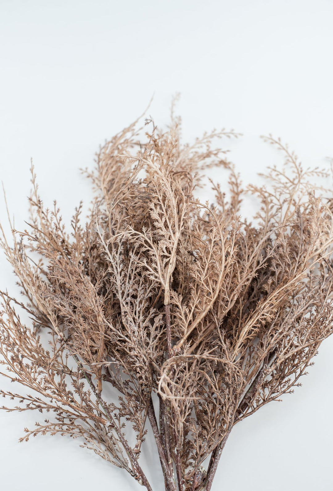 Faux dried fern grass bundle - brown - Greenery MarketArtificial Flora26299