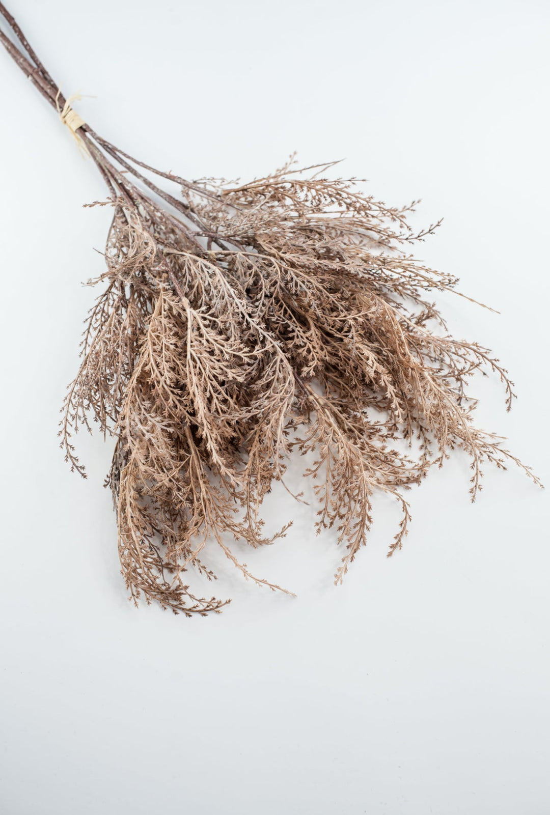 Faux dried fern grass bundle - brown - Greenery MarketArtificial Flora26299