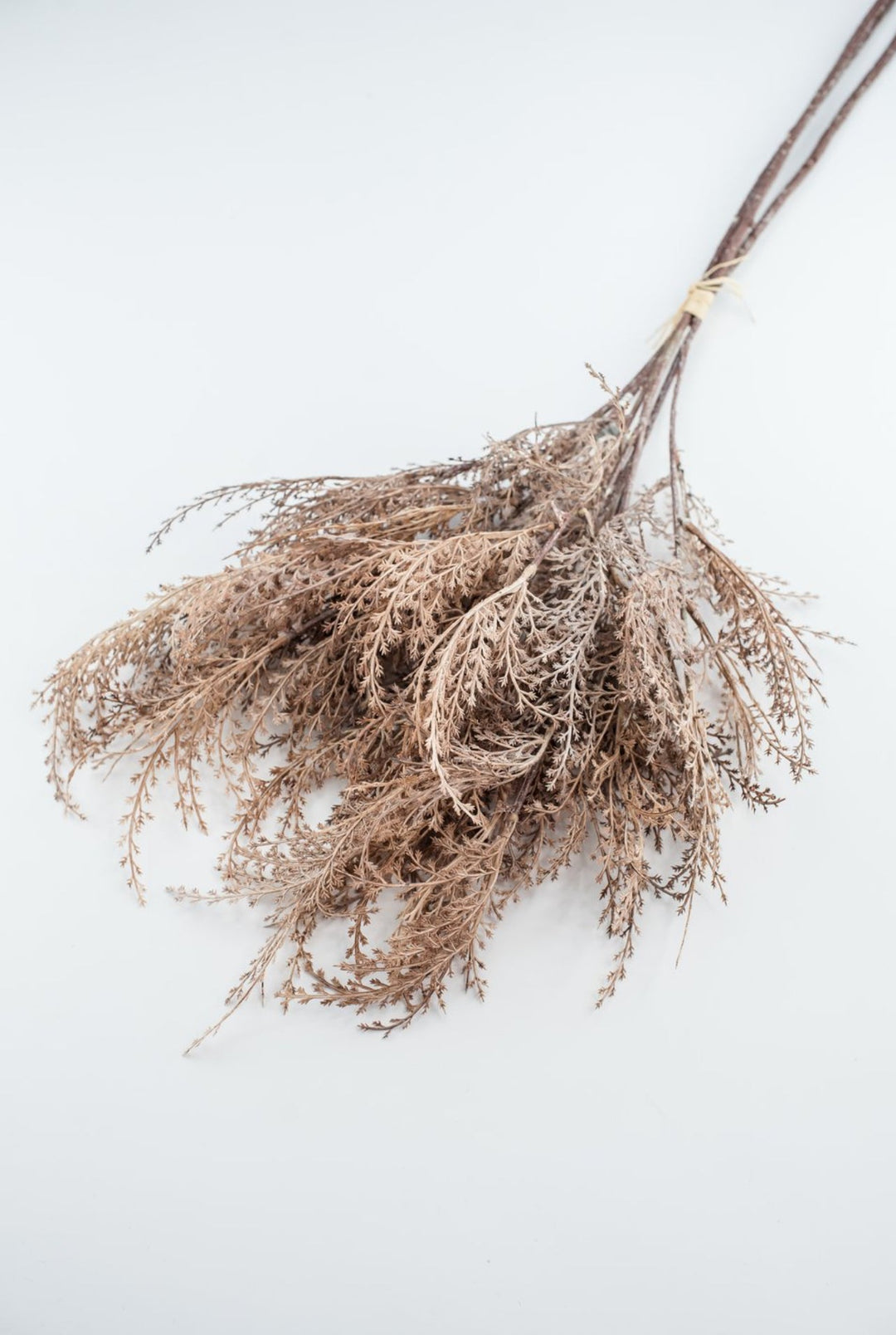 Faux dried fern grass bundle - brown - Greenery MarketArtificial Flora26299